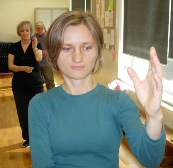 37 posture short form tai chi chuan